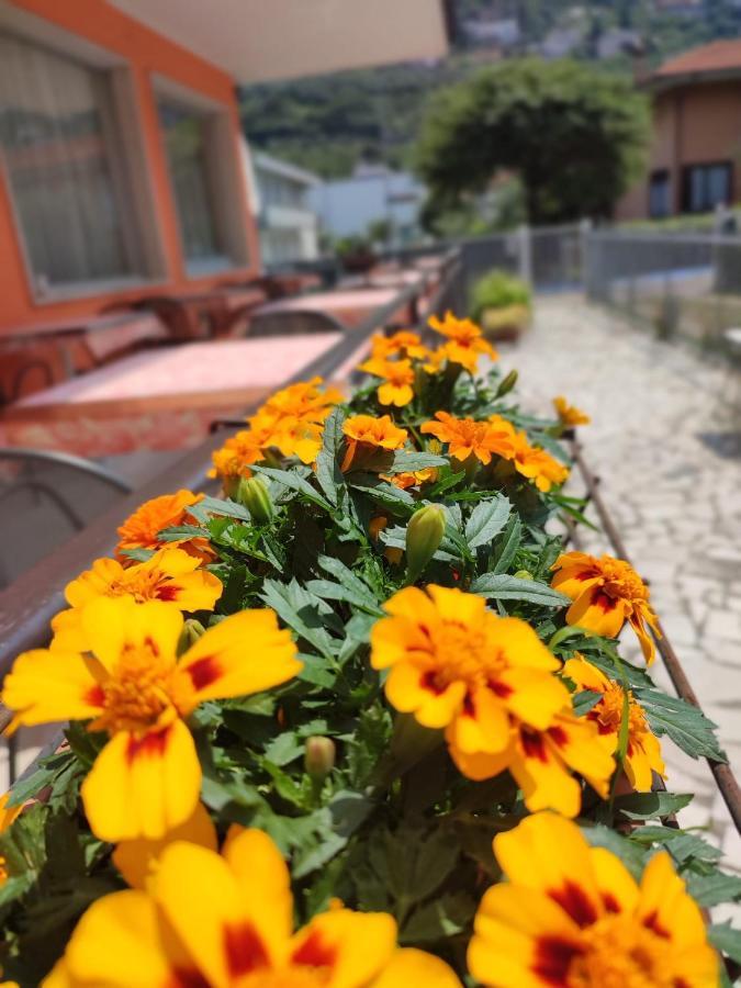 Albergo Villa Mimosa Torbole Sul Garda Zewnętrze zdjęcie