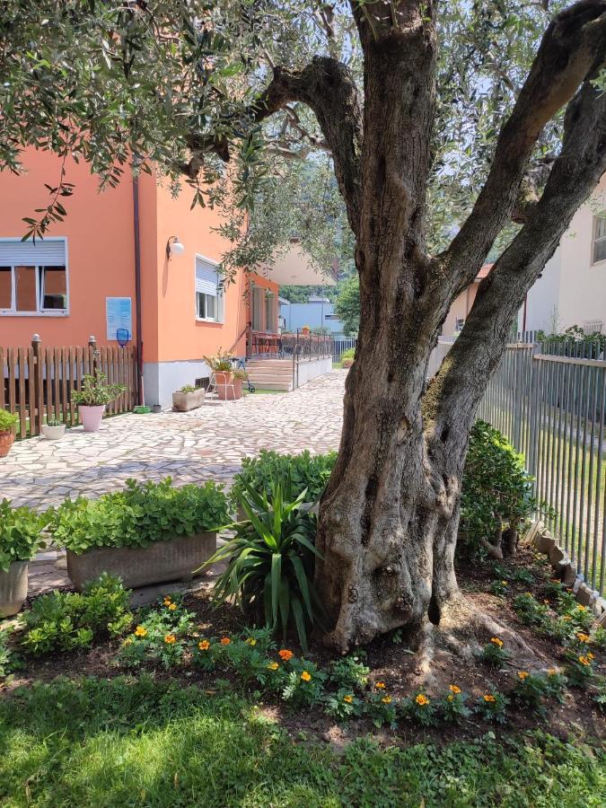 Albergo Villa Mimosa Torbole Sul Garda Zewnętrze zdjęcie